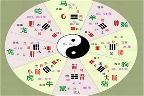 莉 五行|莉字的五行属性